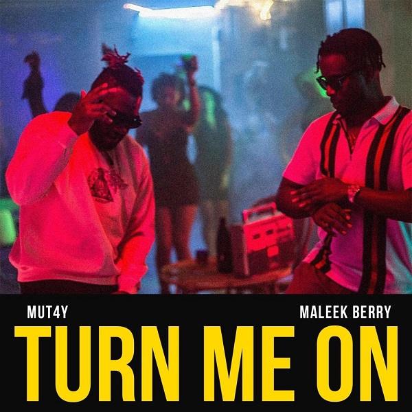 Turn Me On by Mut4y & Maleek Berry