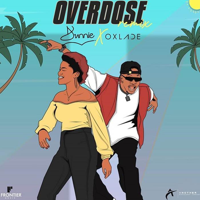 Dunnie Overdose Remix Mp3 Download