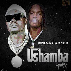 Harmonize Ushamba Remix