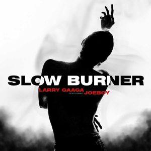 Larry Gaaga Slow Burner ft Joeboy