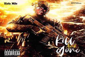 Shatta Wale Kill And Gone 768x512 1