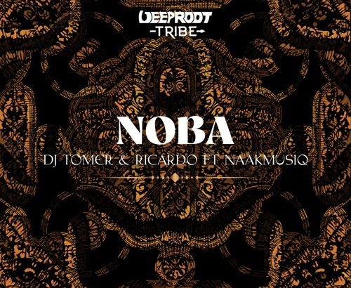 DJ Tomer & Ricardo - Noba ft. NaakMusiQ