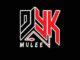 DJ YK Mule – Dull (Dance Version)
