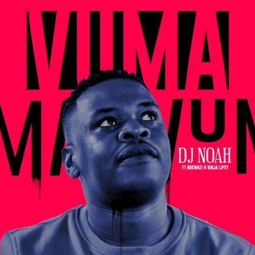 DJ Noah Ft. Nokwazi & Ninja Lipsy - Vuma