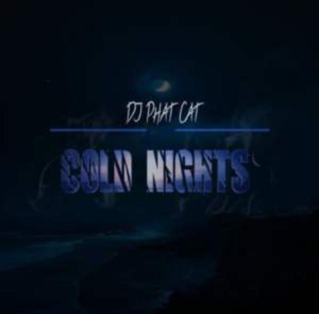 DJ Phat Cat - Cold Nights