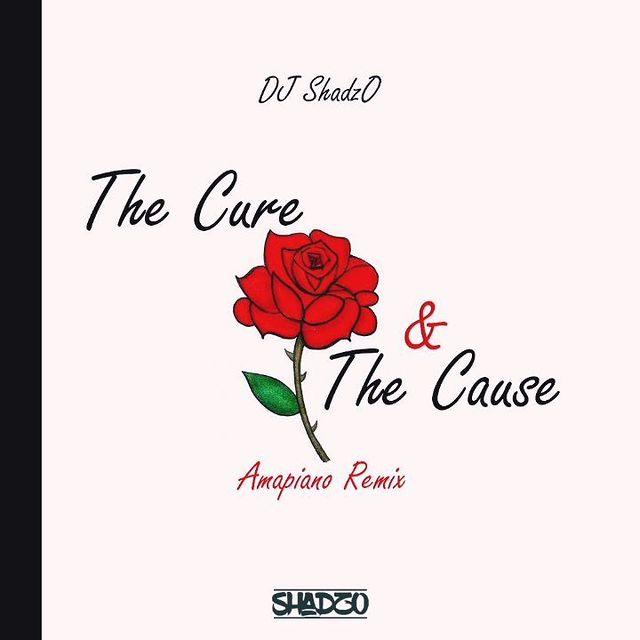 DJ ShadzO - The Cure and the Cause (Amapiano Remix)