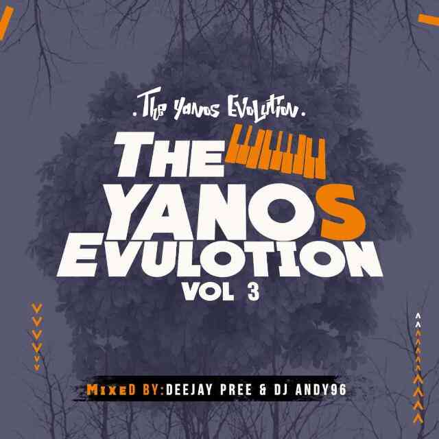Deejay Pree & Dj Andy 96 - The Yanos Evolution Vol 3 Mix