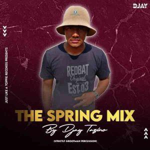 Djay Tazino - The Spring Mix (Strictly Grootman Percussion)