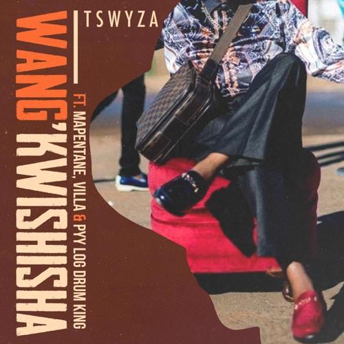 Tswyza Ft. Villa, Mapentane & Pyy Logdrum King - Wang'kwishisha