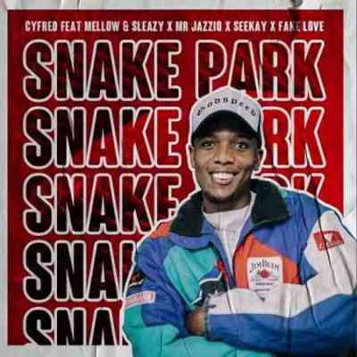 Cyfred, Mellow, Sleazy & SeeKay Ft. Mr JazziQ & Fake Love - Snake Park