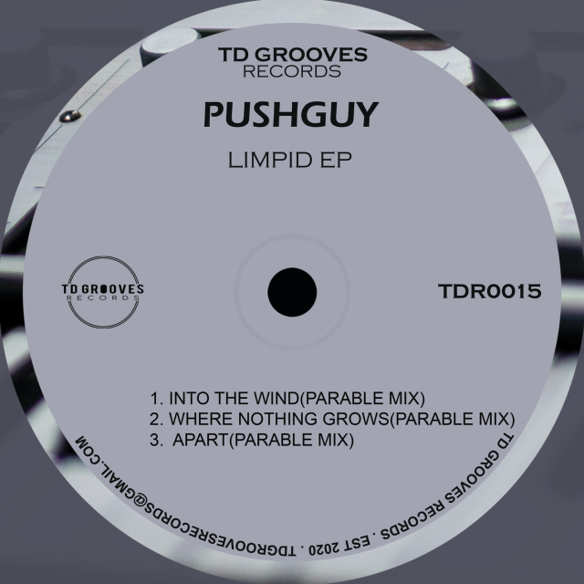 Pushguy - Into The Wind (Original Mix)